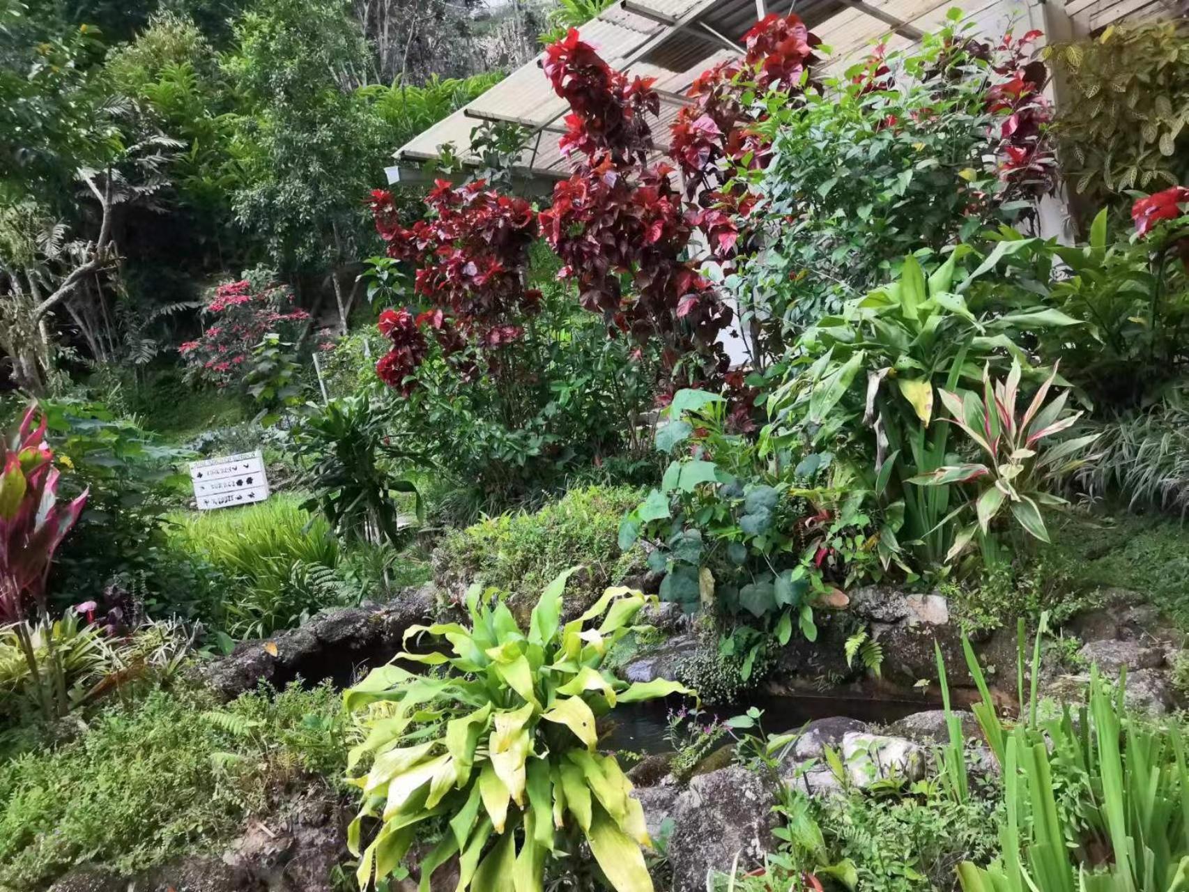 Moonriver alojamiento Cameron Highlands Exterior foto