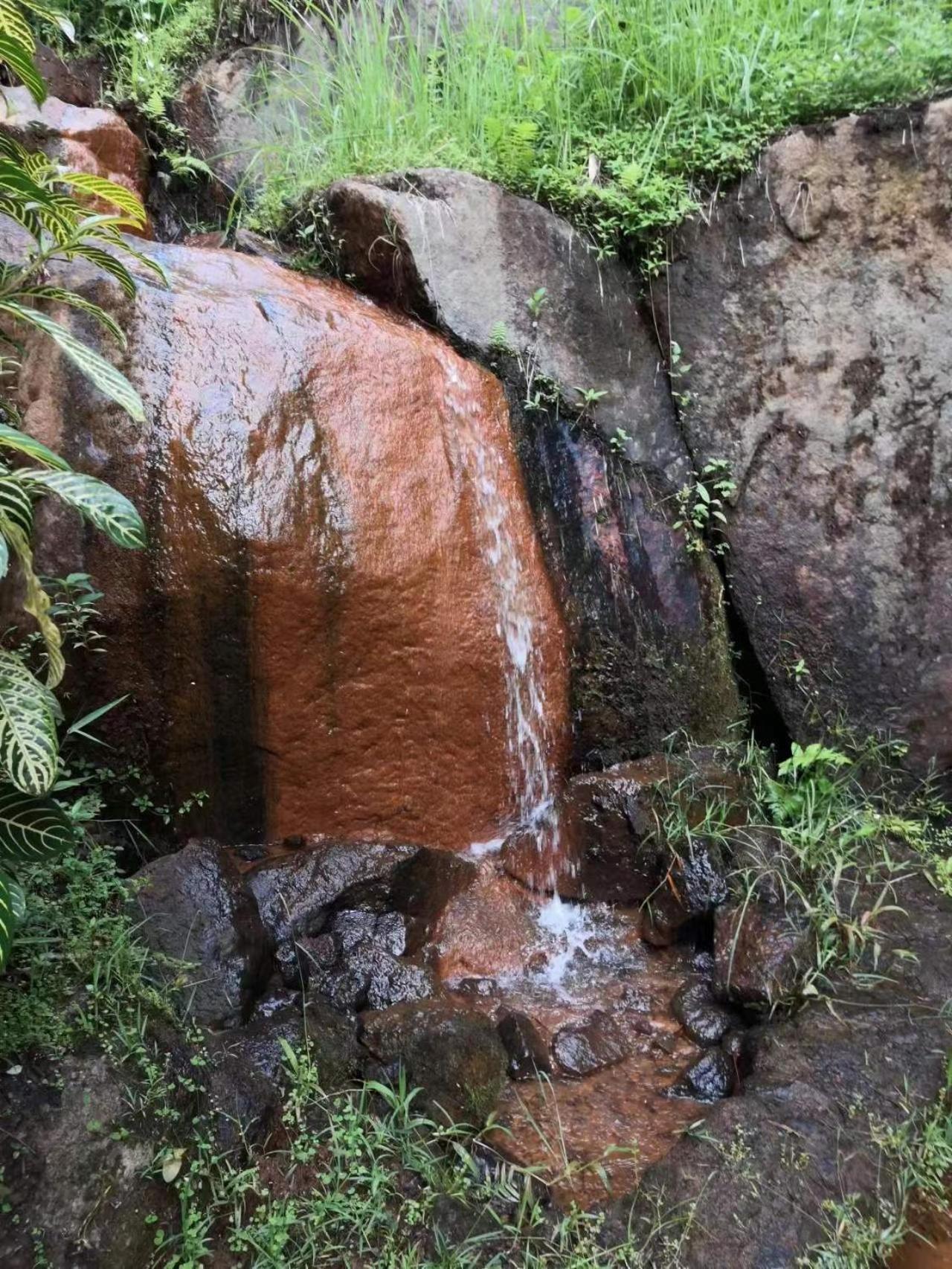 Moonriver alojamiento Cameron Highlands Exterior foto