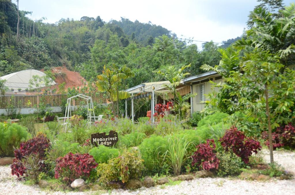 Moonriver alojamiento Cameron Highlands Exterior foto