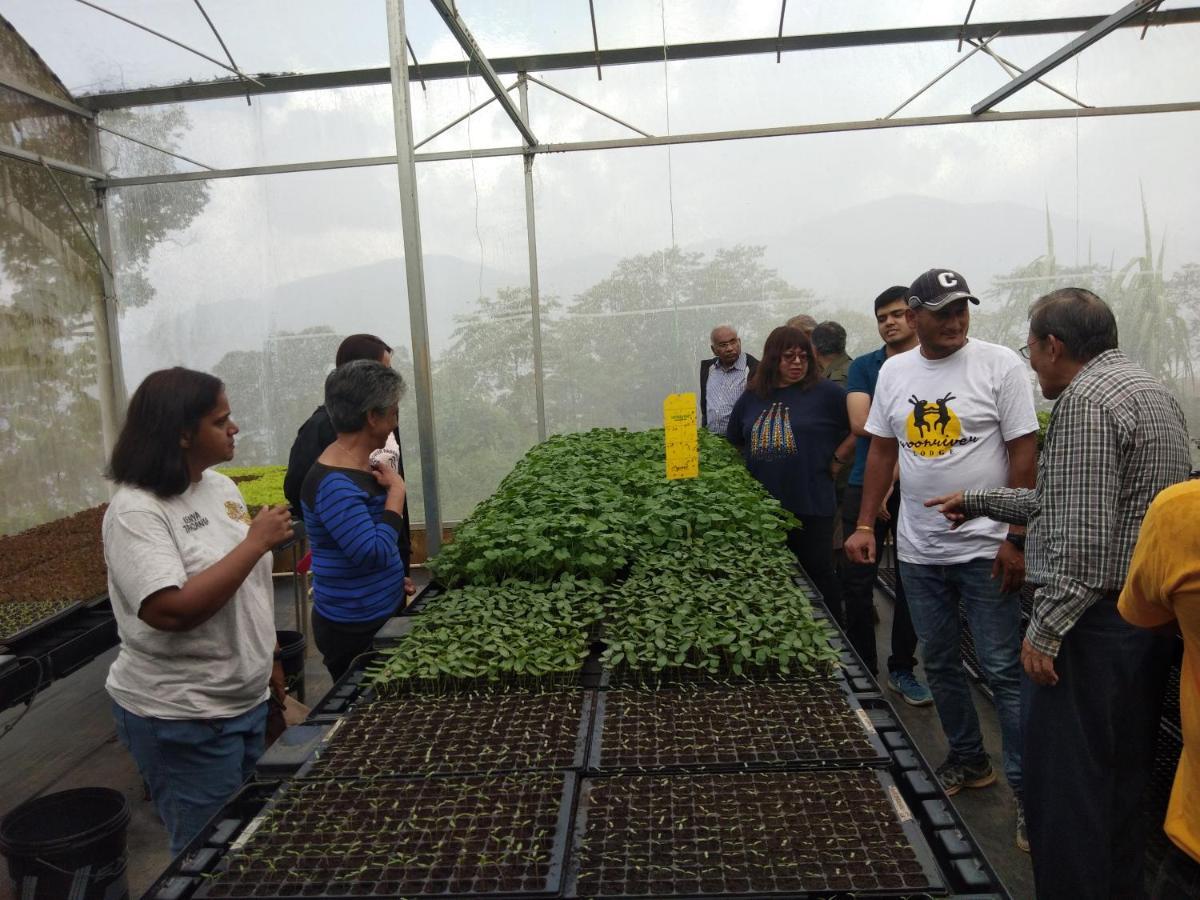 Moonriver alojamiento Cameron Highlands Exterior foto
