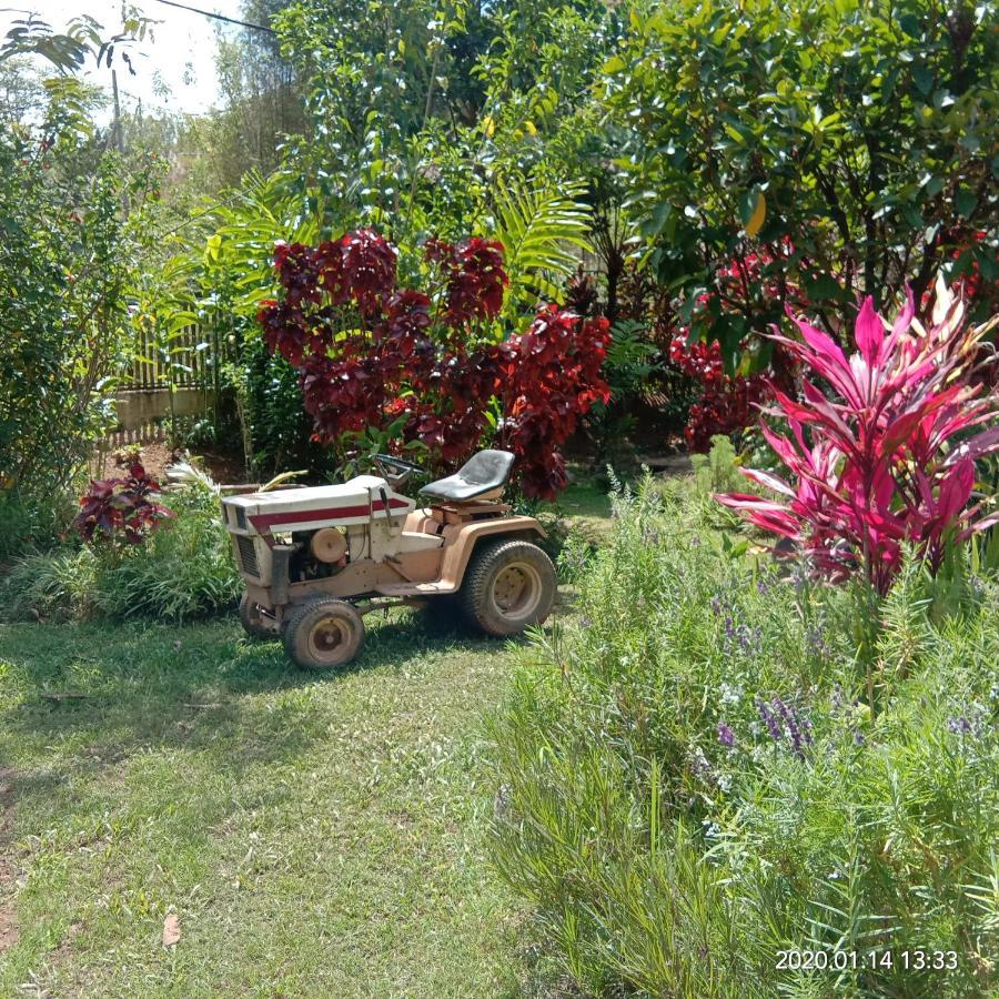 Moonriver alojamiento Cameron Highlands Exterior foto