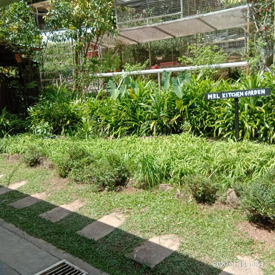 Moonriver alojamiento Cameron Highlands Exterior foto
